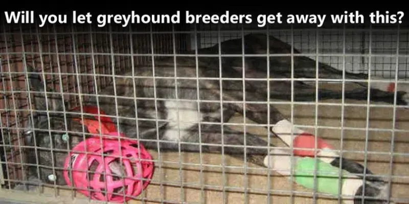 9665 10151684482378354 769422227 n