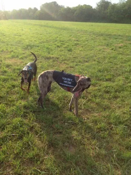 970031 473836189374656 386449129 n