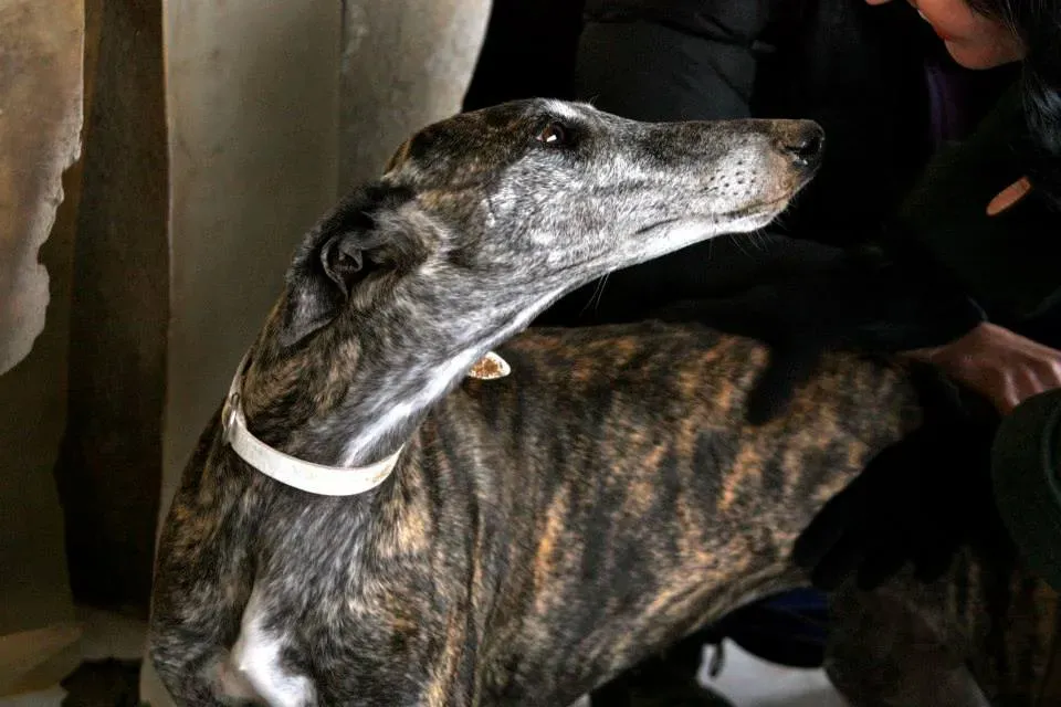 971550 552119314871928 1129322491 n