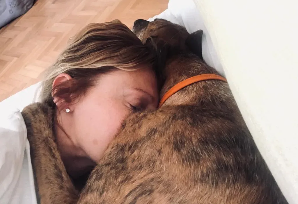 97368a60 8c35 4b2a b9ee a47259b69dce