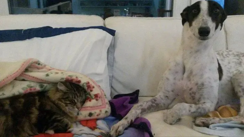 9801 757591114324746 6077976382711902614 n