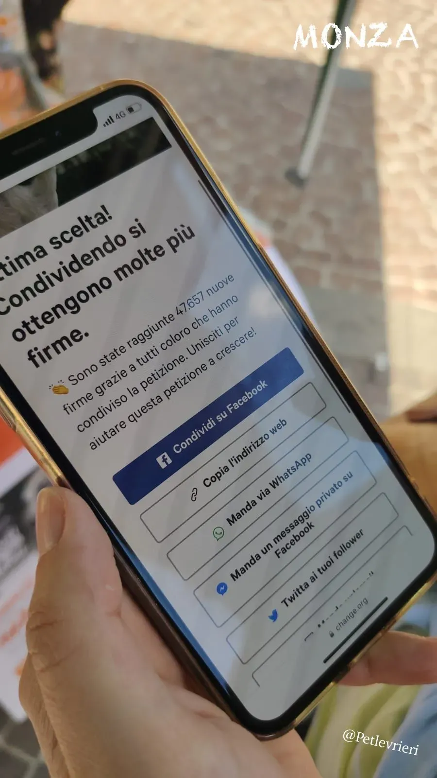 980a6df9 bbfc 4e5f 9753 c3ab2d17744a risultato