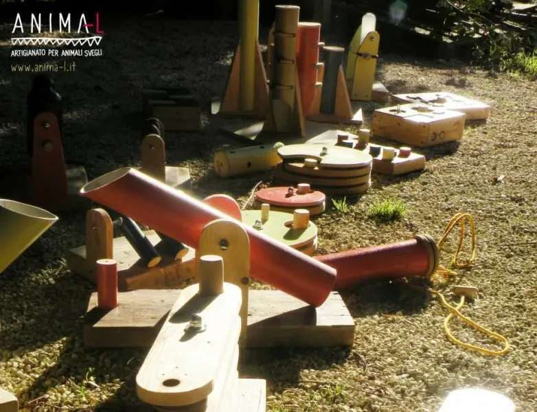 983809 724147417669116 8100836473389882740 n