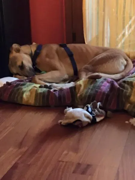 984262 764956573588200 3435379175096100202 n