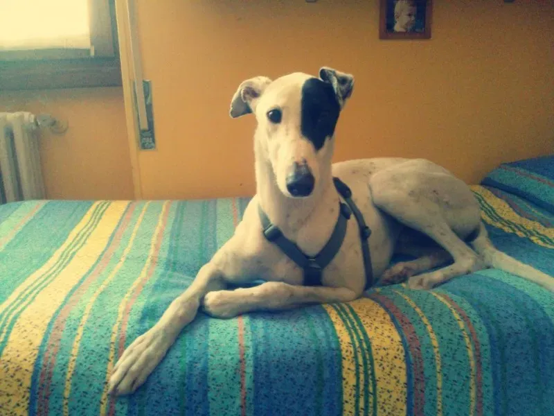 984275 10200783085492833 873026668 n