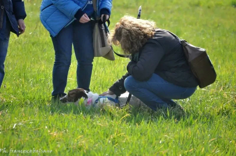 988396 600993139984545 1315822877 n