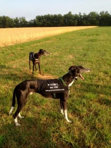 992806 473836119374663 1686856348 n