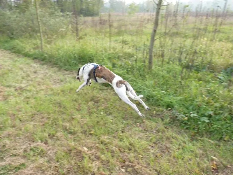 993079 258409907833251 2974373056663084606 n