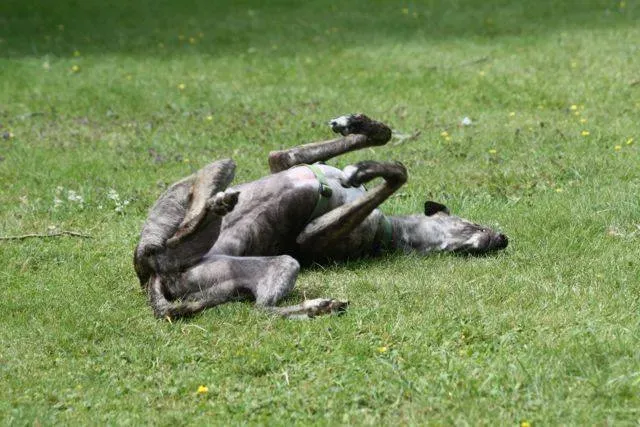 993409 4721802062669 1478224856 n