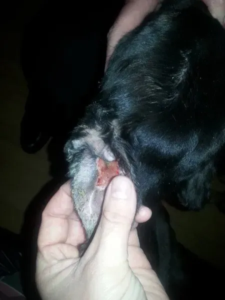 993476 606351876084648 447350560 n