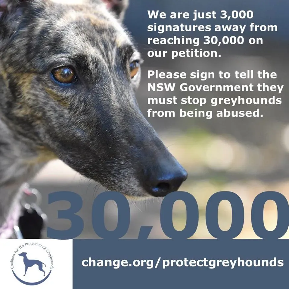 99370346 2311449679162017 571104455638908928 o