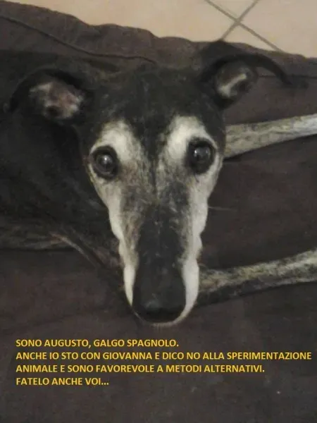 994069 10202346989188720 1020029906 n