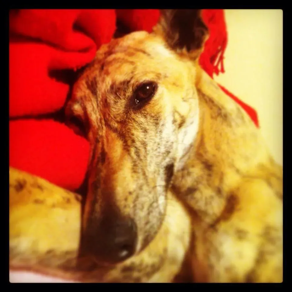 994665 421628301296512 1972765923 n