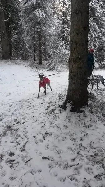 994725 10207387699068514 2332361609275097874 n