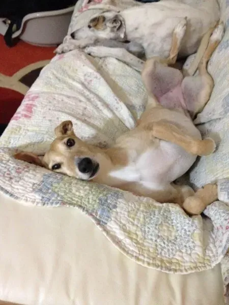 995390 10205767158480174 5520360049568679853 n