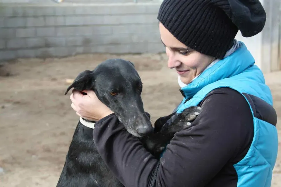 996057 552253561525170 420281787 n