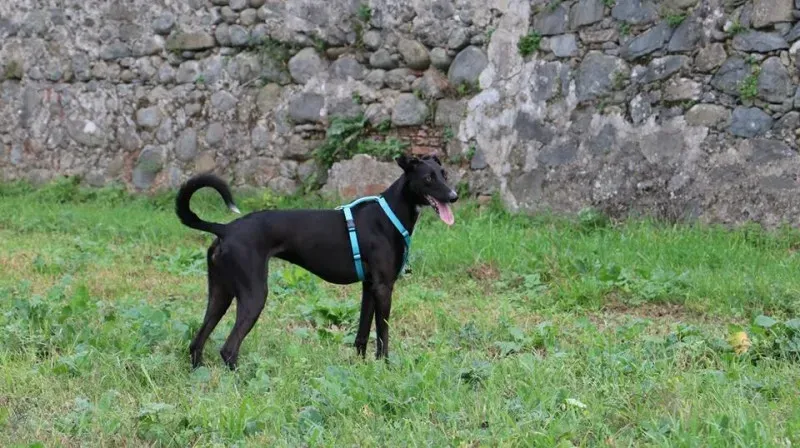 996669 577113002457223 3598868630243812726 n