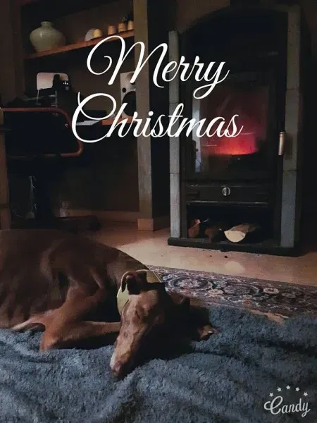 996775 10153314712137475 951993637562693473 n