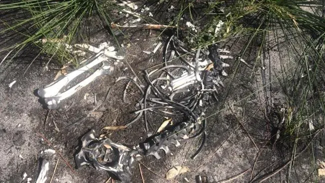 998473 26127e10 d8d4 11e4 915f fd70bc6357a8