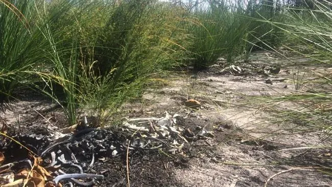 998525 2399cf4e d8d4 11e4 915f fd70bc6357a8