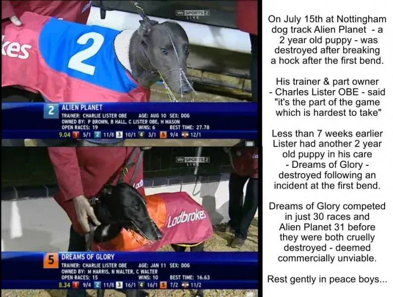 998714 539215969464906 1291125804 n