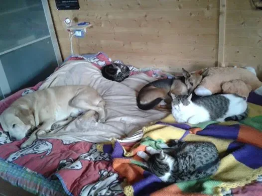 998853 10202783574741802 865373099 n