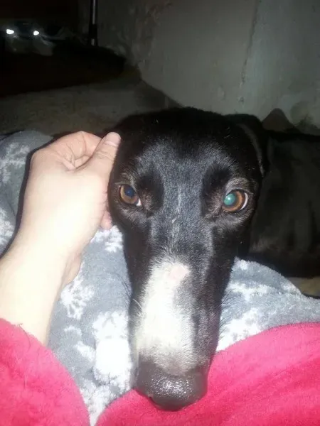 999235 606351802751322 1595874424 n