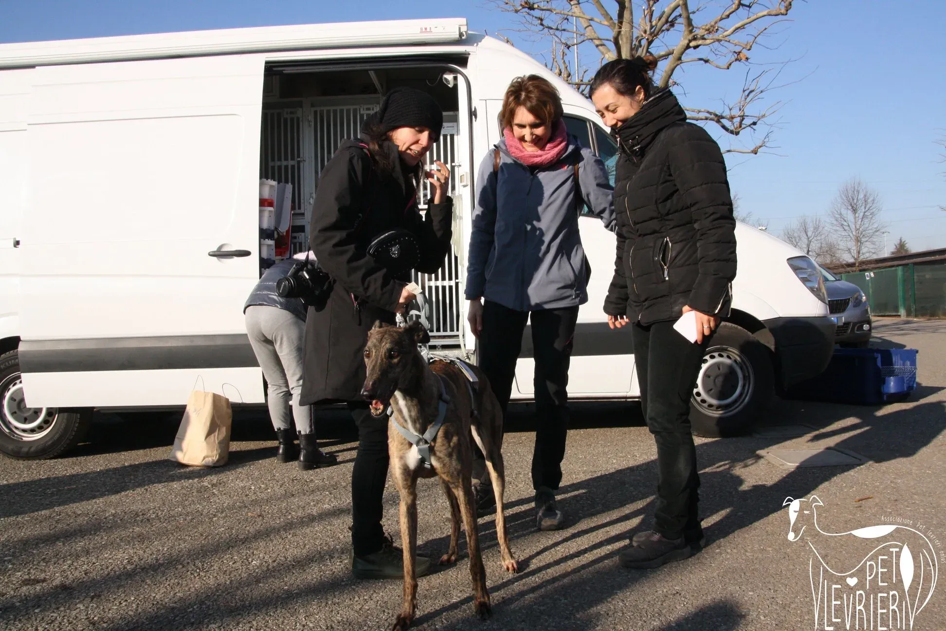 99DD9DAE 8F1F 4534 9D5D 4ED520B5B4B6