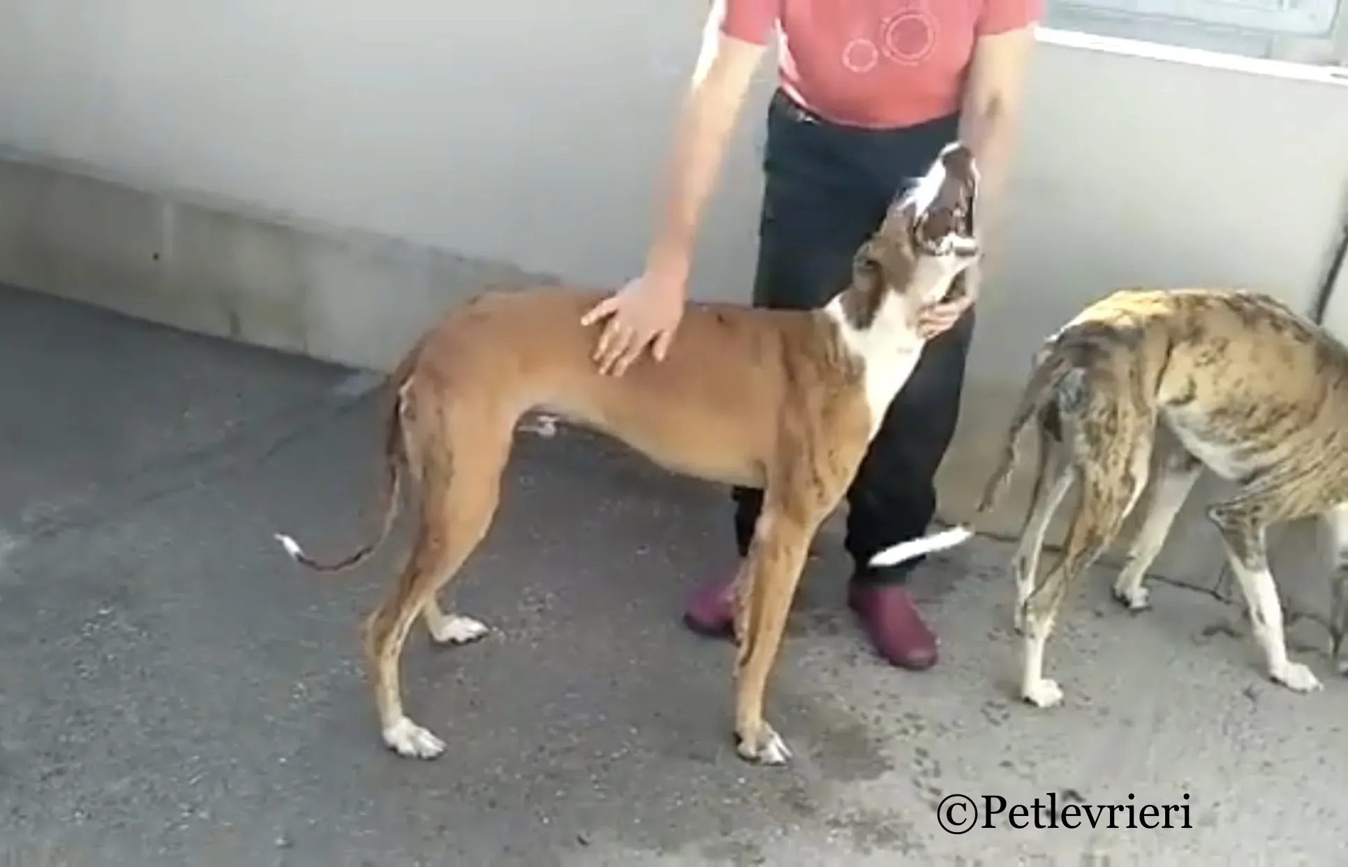 9FA3D5B4 6A6F 4B2A 9D2A 625A11E4AD9C