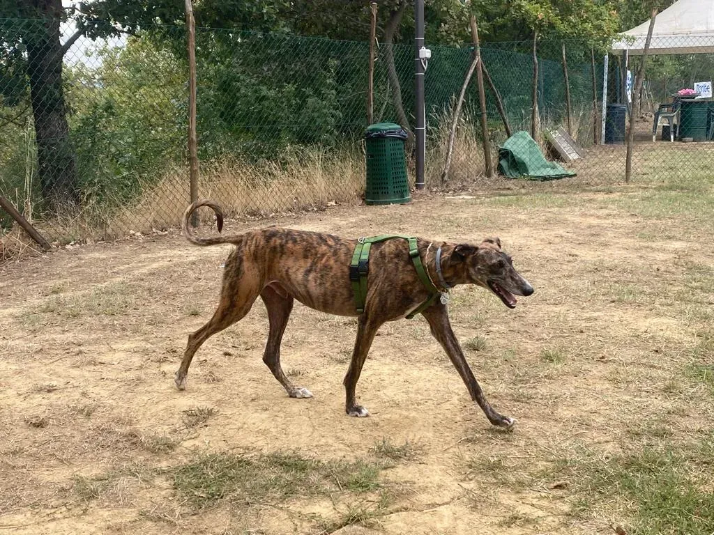 9a4138af 8065 49a0 bcef ac7892fa7f2e