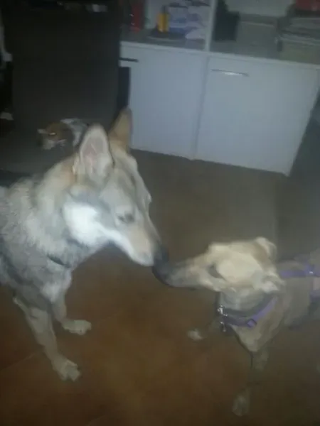 9d50d1ea18863dadb88c765b86a20f31