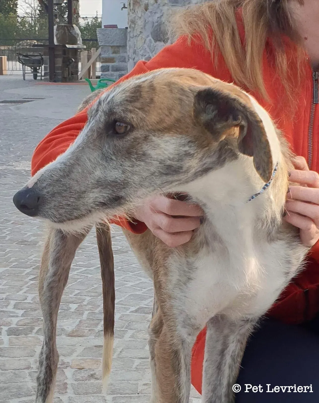 A0F874F0 A7FD 4360 9894 A3D5CB23923D