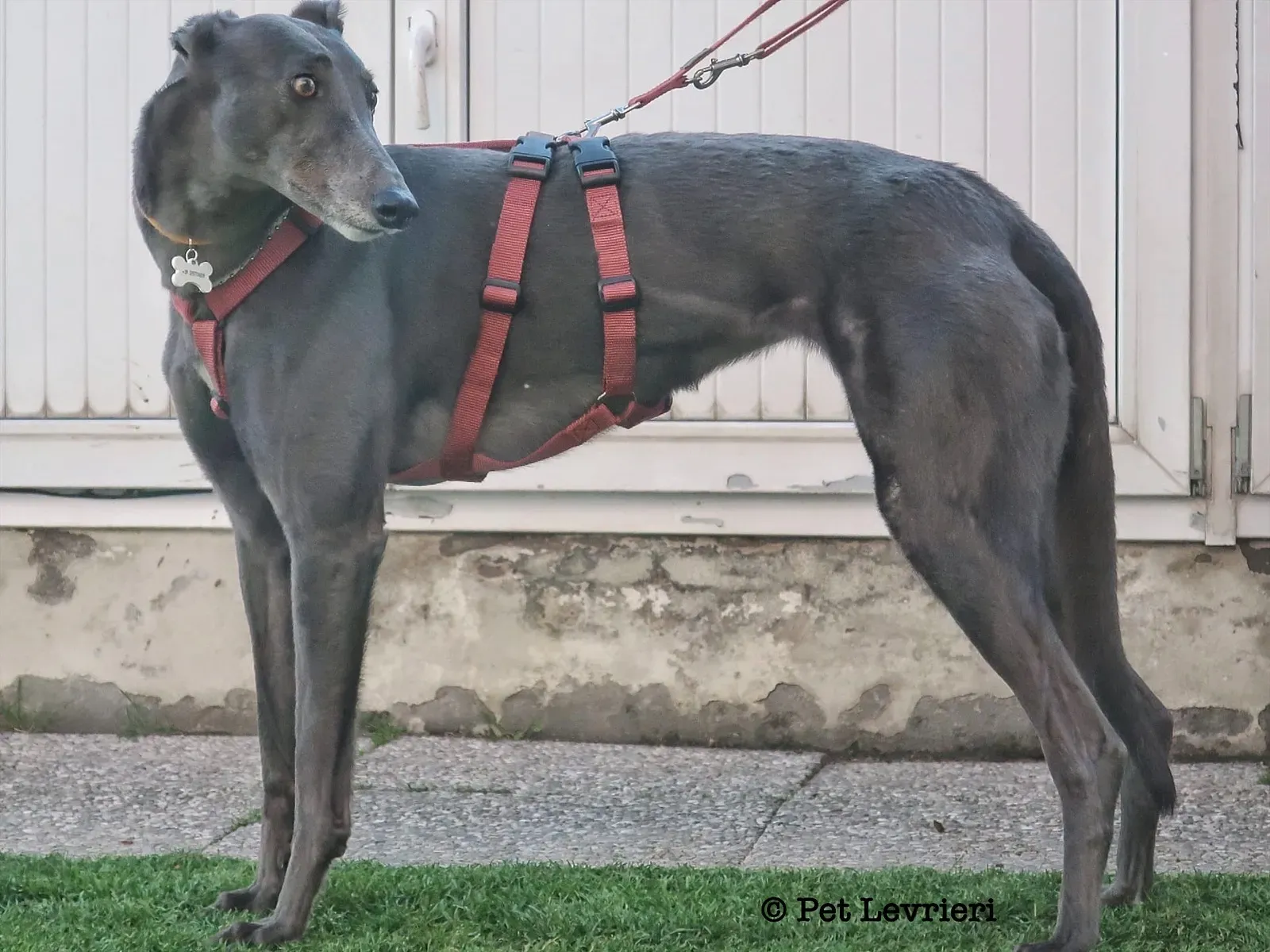 A11BA727 5DF2 44A1 BA5A 045500817EDA