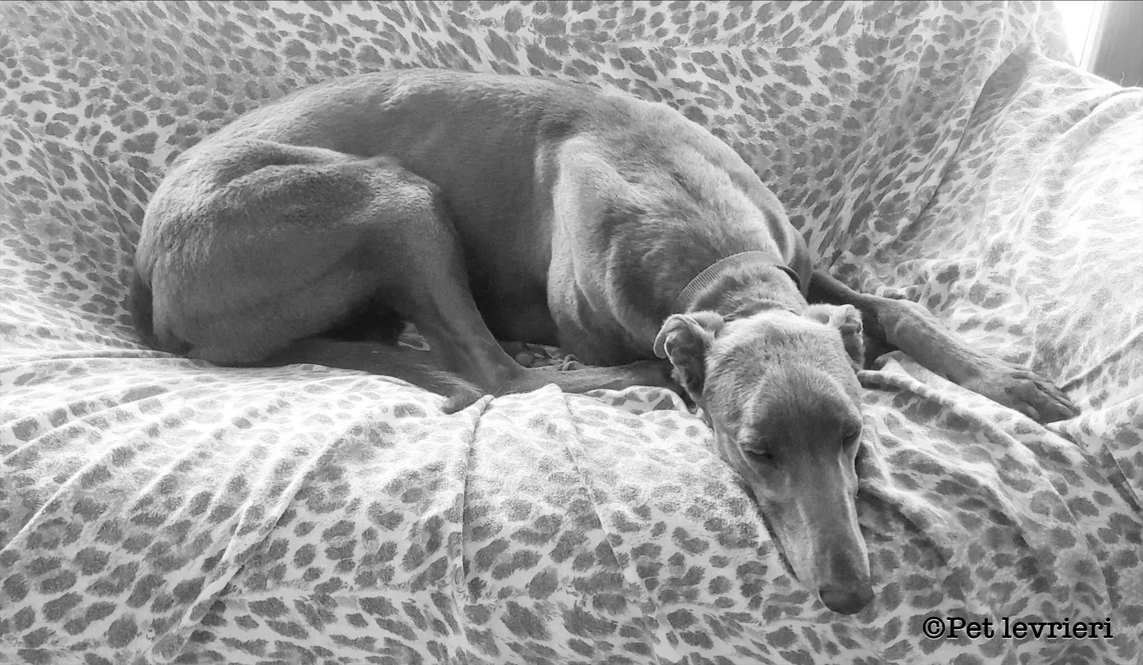 A2DC1539 E57C 44DA 95A0 49585E730B8B