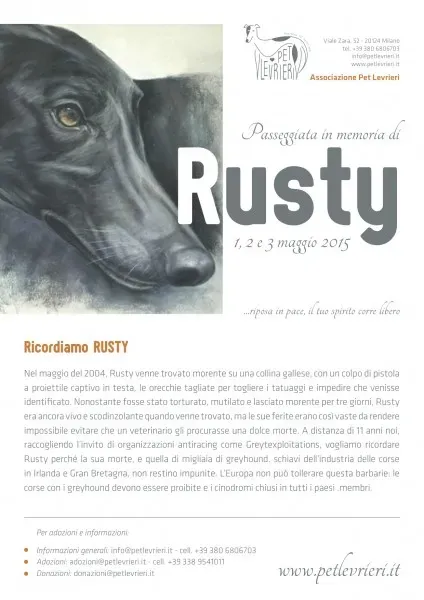 A4 PET Volantino Rusty 2