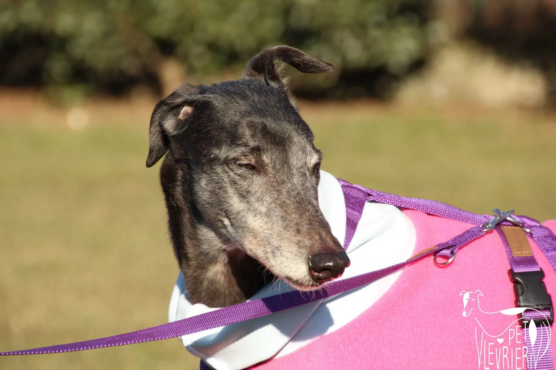 A5B6B31D 8032 4E36 98CA D80FF7658A57