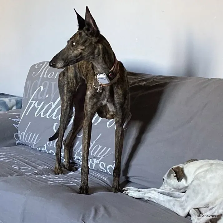 A6167634 4D98 4F3D ADB4 DFD578ED67B3