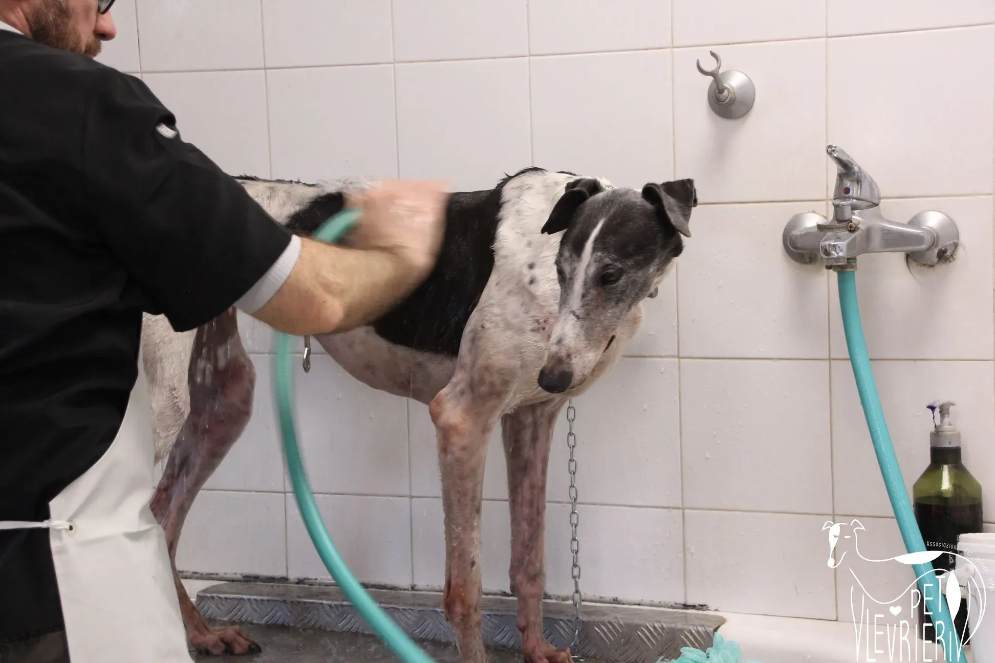 A6A44AE1 E18C 4E93 A549 D4102323C2B1