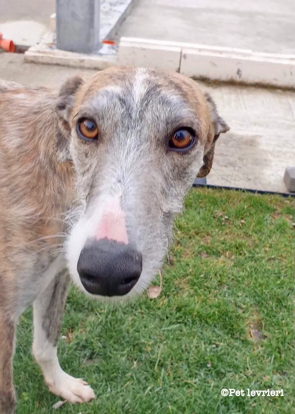 A8915047 A2AE 446B 8607 D3037A3027DB