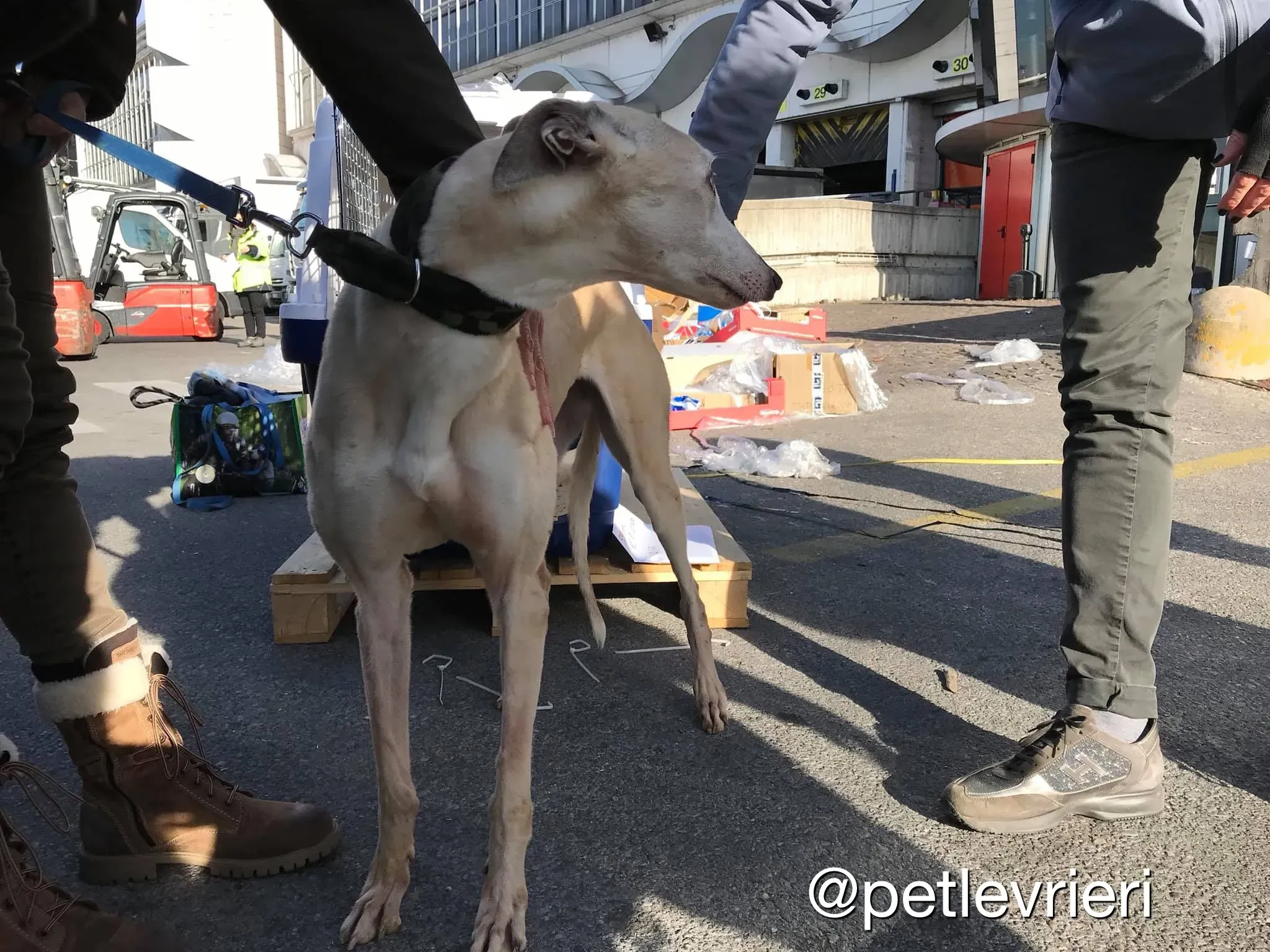 A996F726 E18B 4FA7 916E A4BD11395FAD