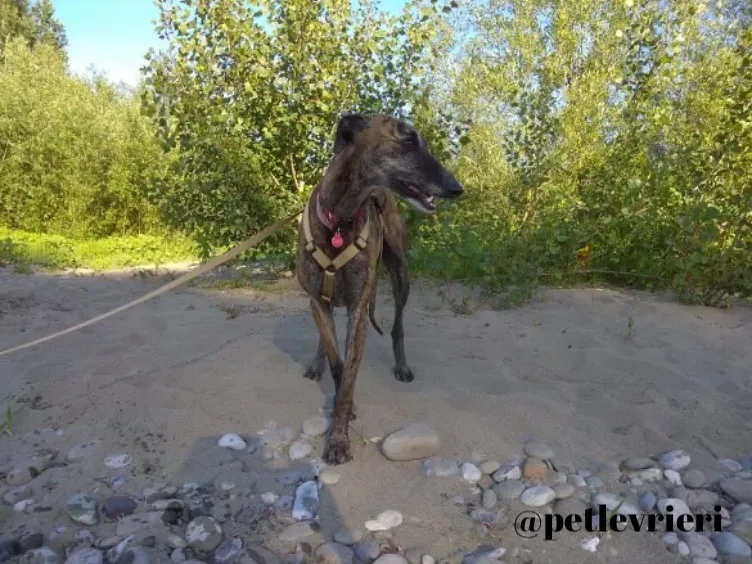 ABD72923 B16D 45CD A1A9 FACDCBBD2C41