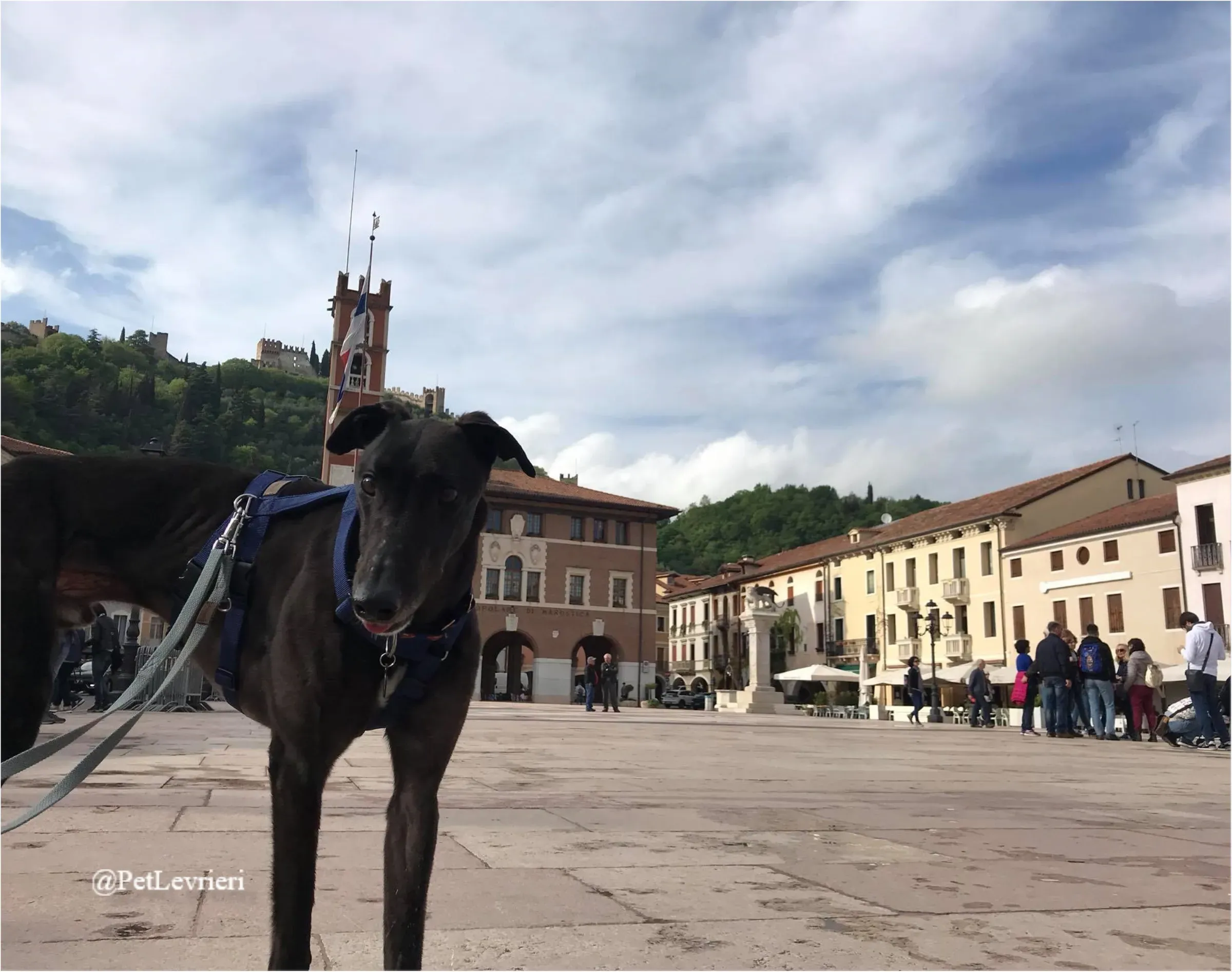 ANGELO CARRARO15New Phototastic Collage