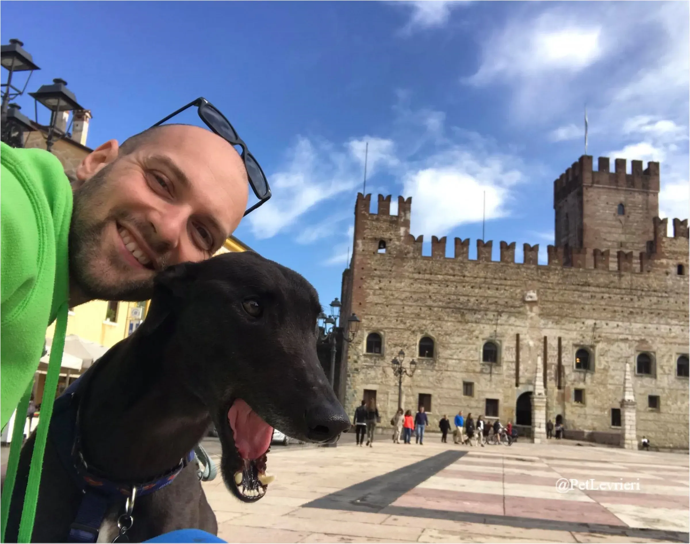 ANGELO CARRARO16New Phototastic Collage