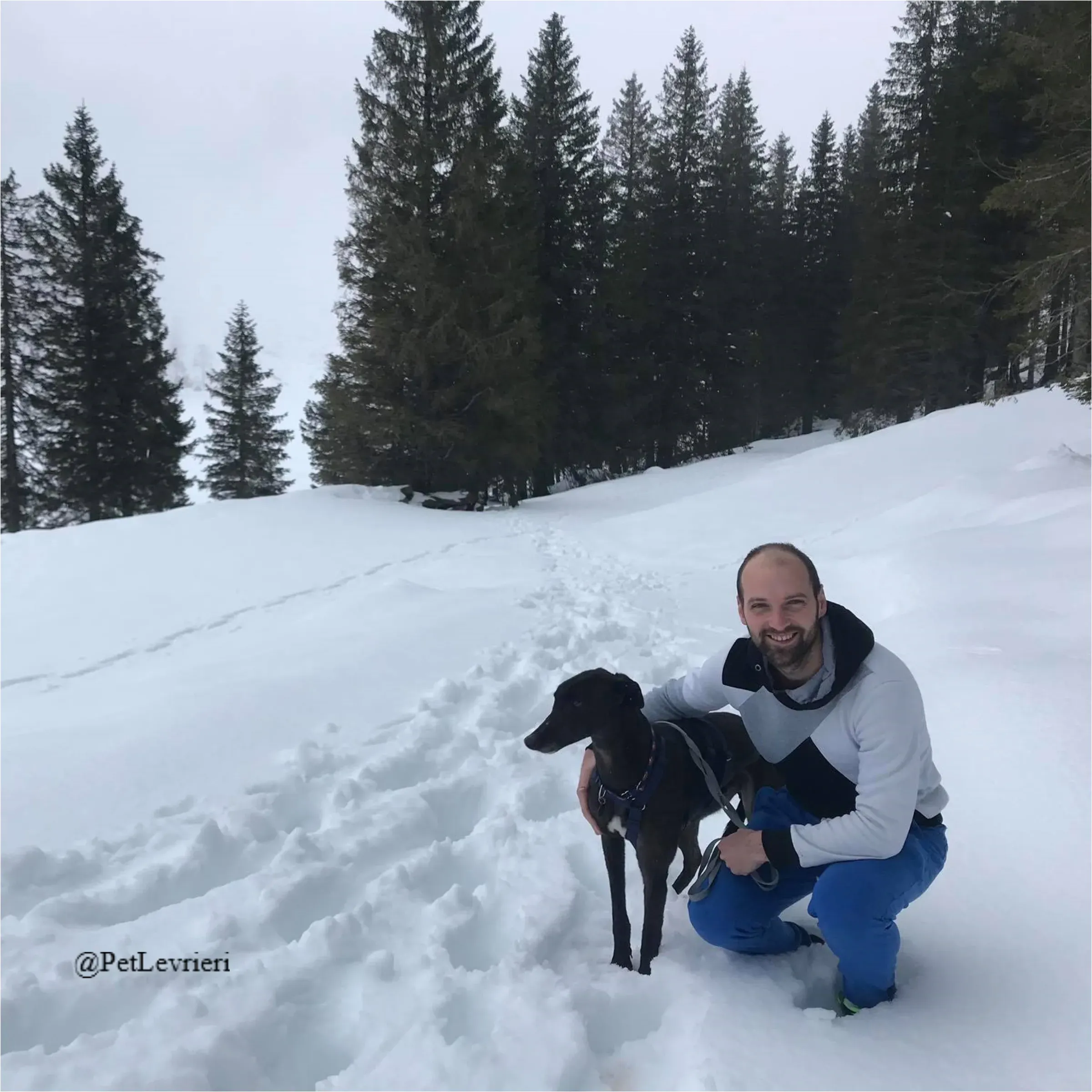 ANGELO CARRARO18New Phototastic Collage