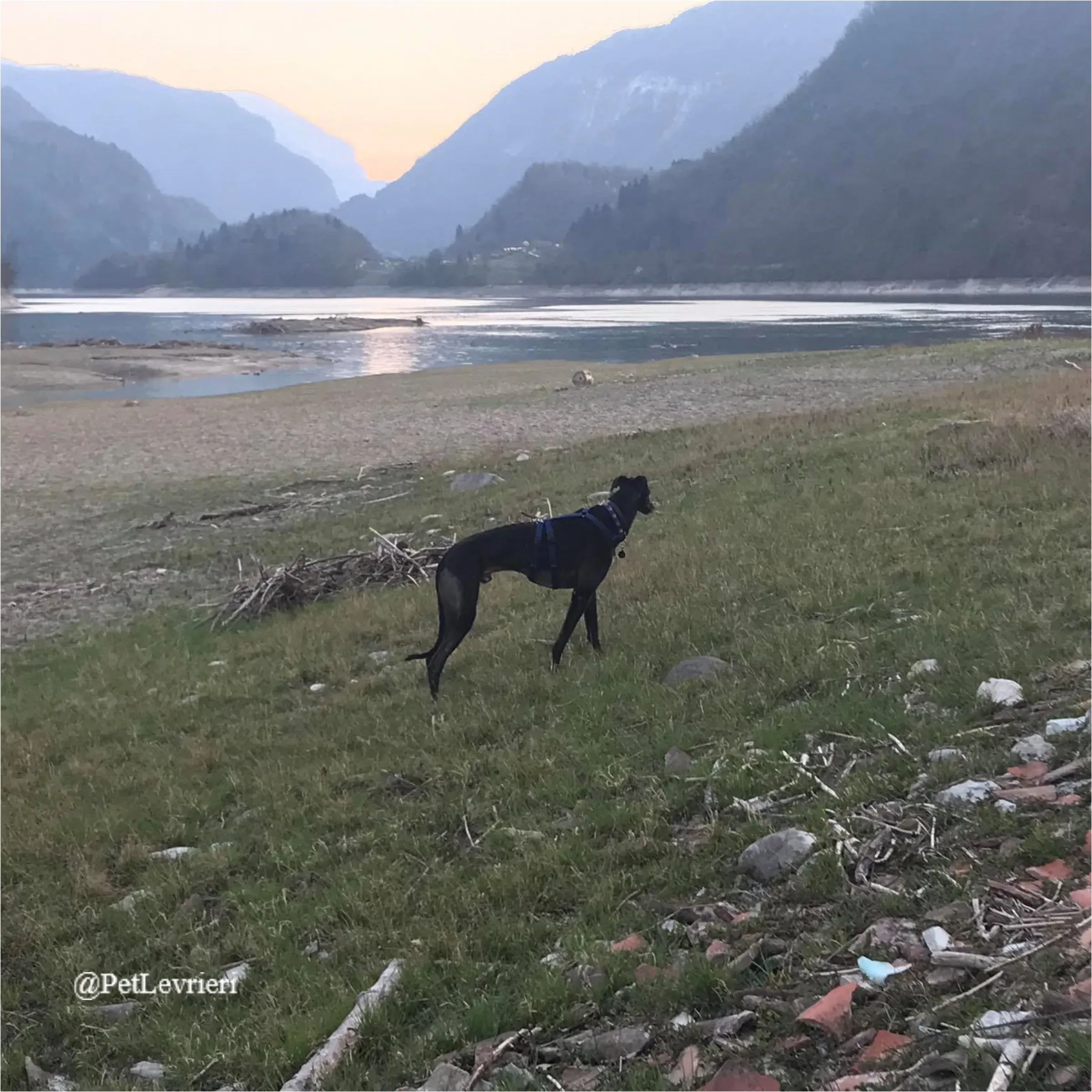 ANGELO CARRARO22New Phototastic Collage