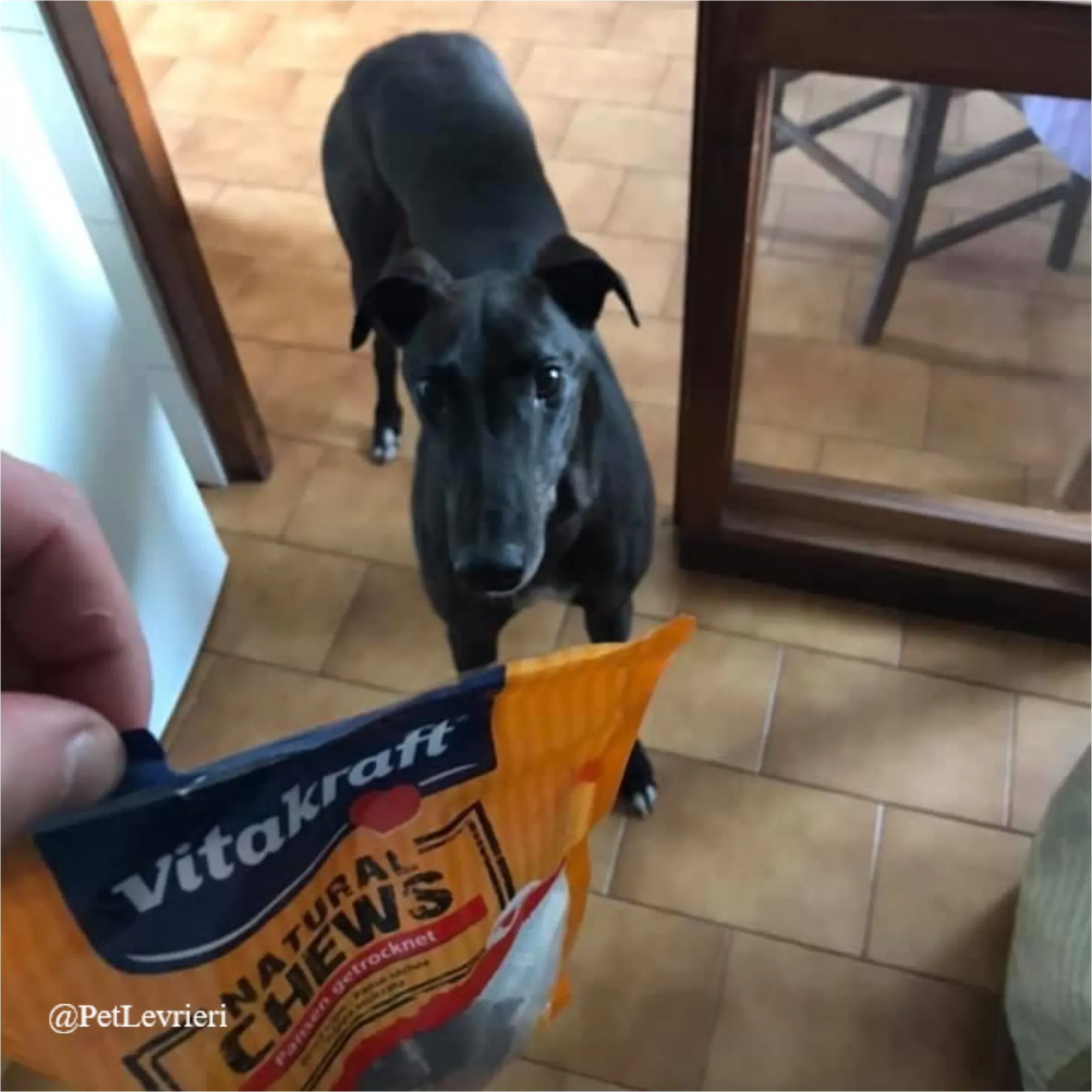 ANGELO CARRARO3New Phototastic Collage