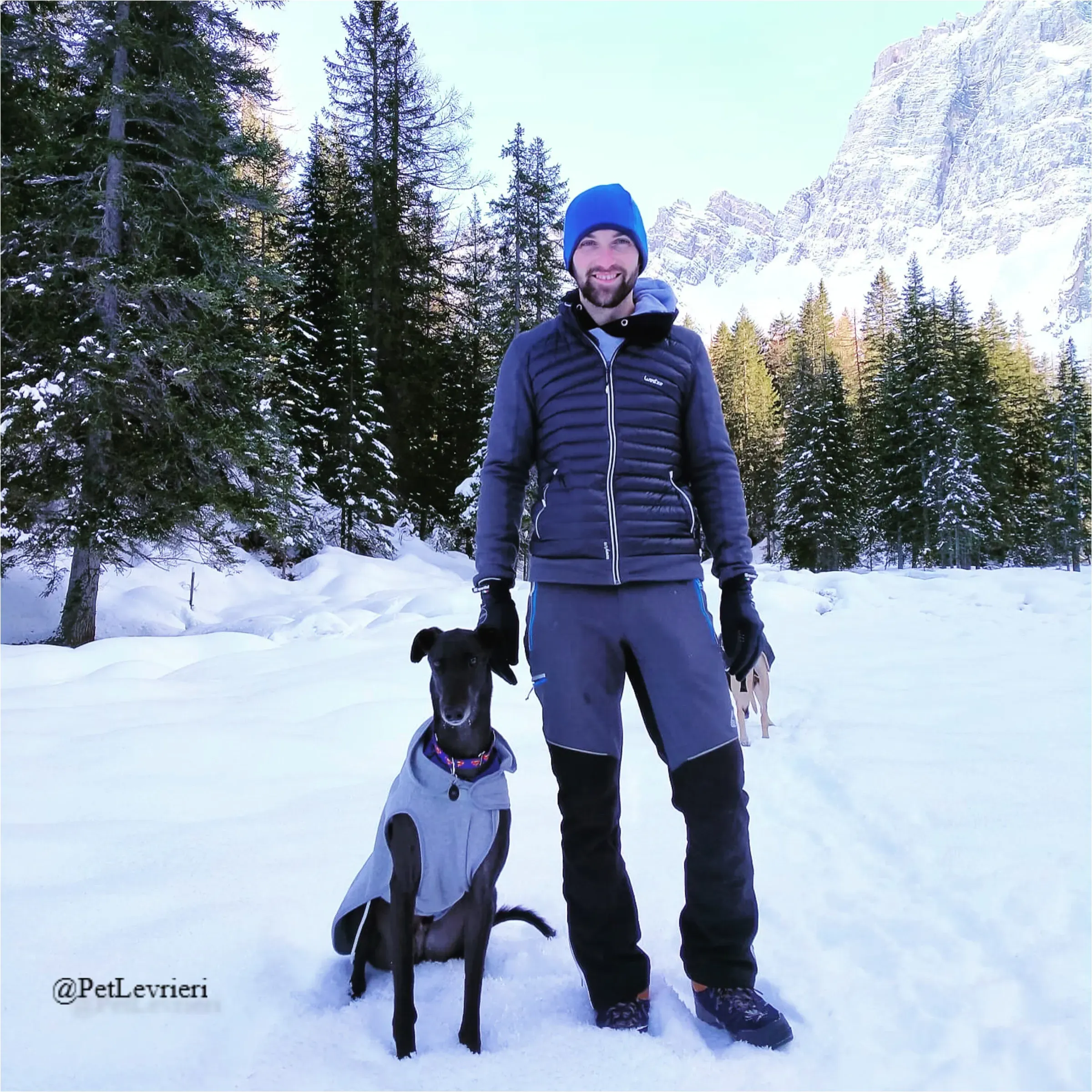 ANGELO CARRARO5New Phototastic Collage