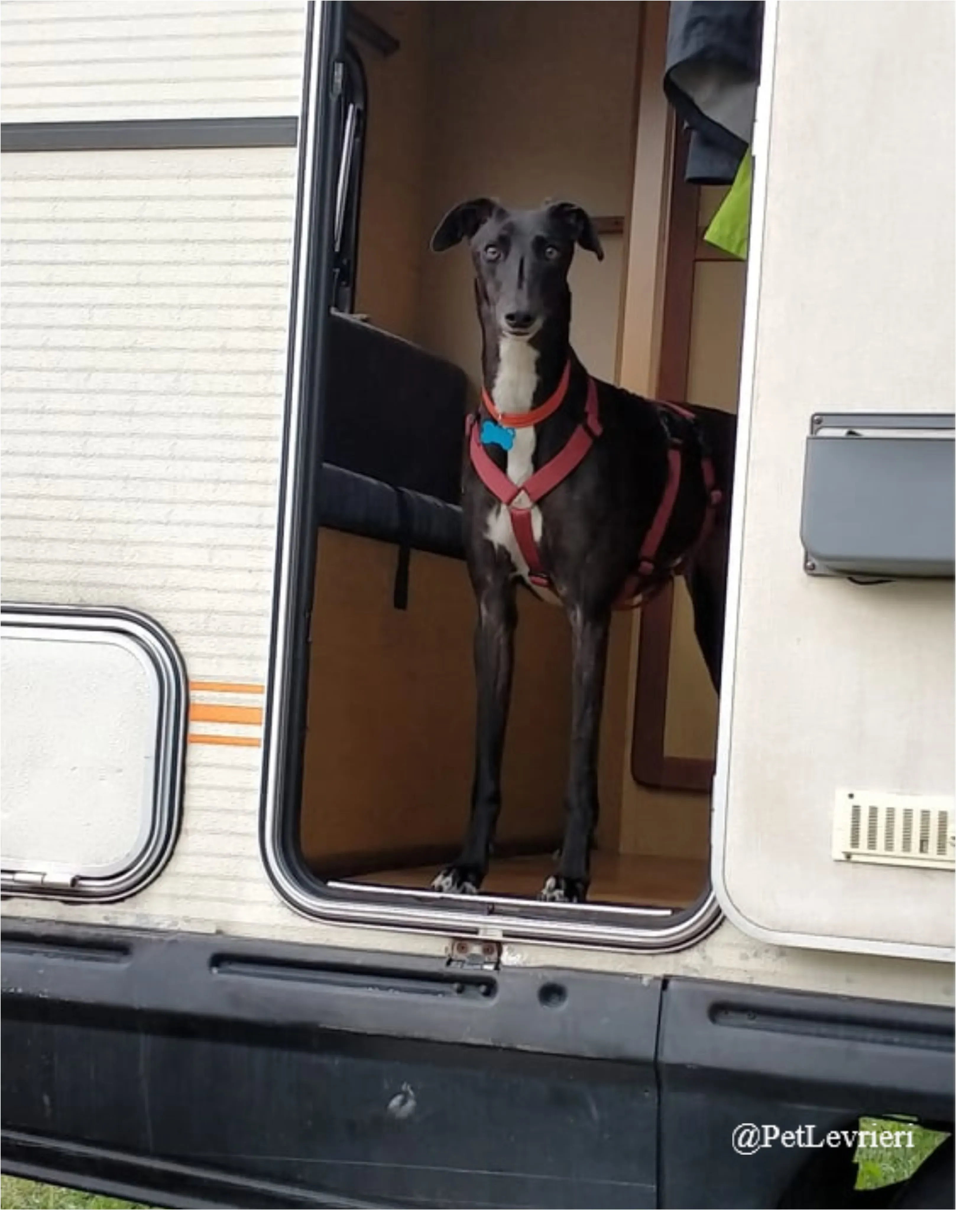 ANNA13New Phototastic Collage