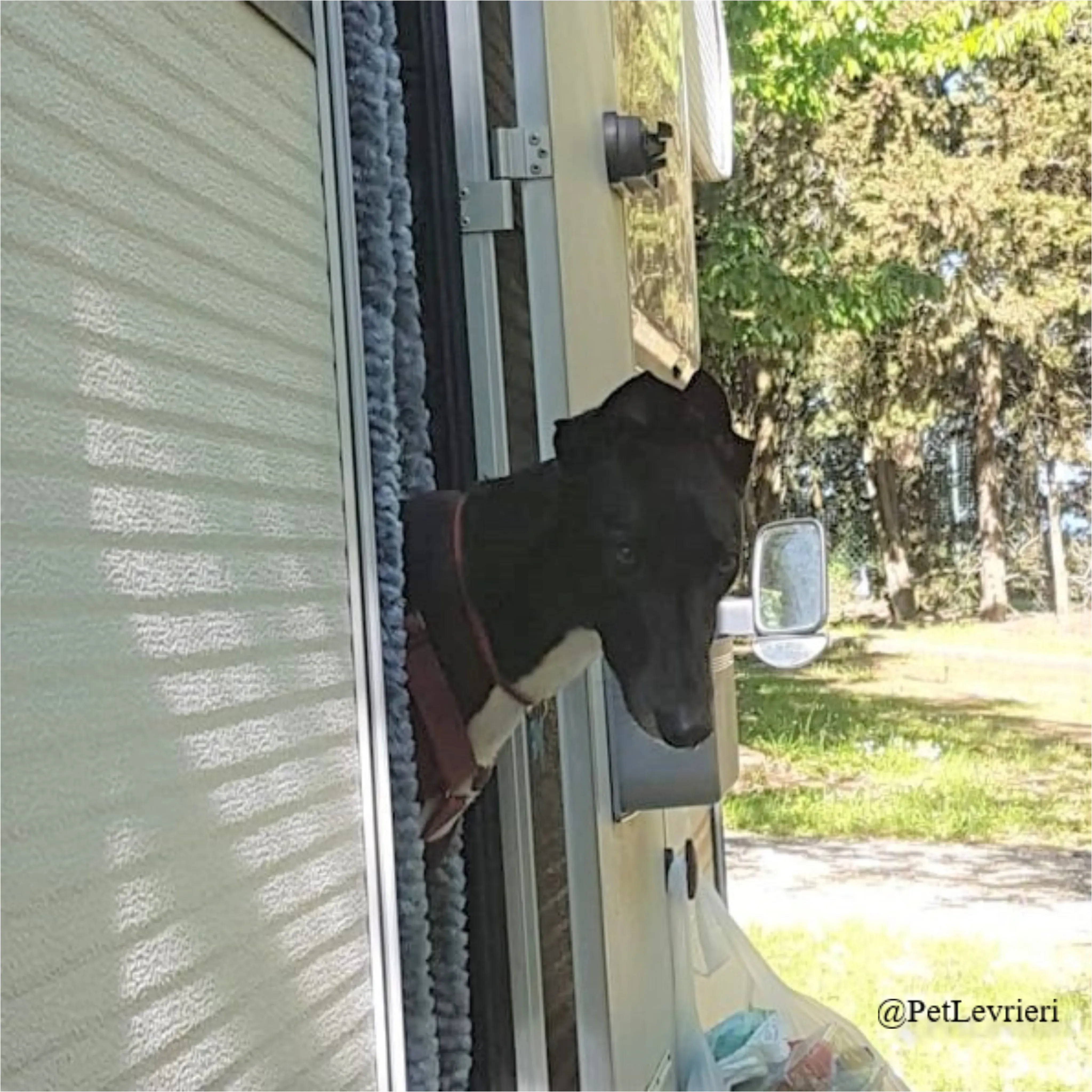 ANNA1New Phototastic Collage