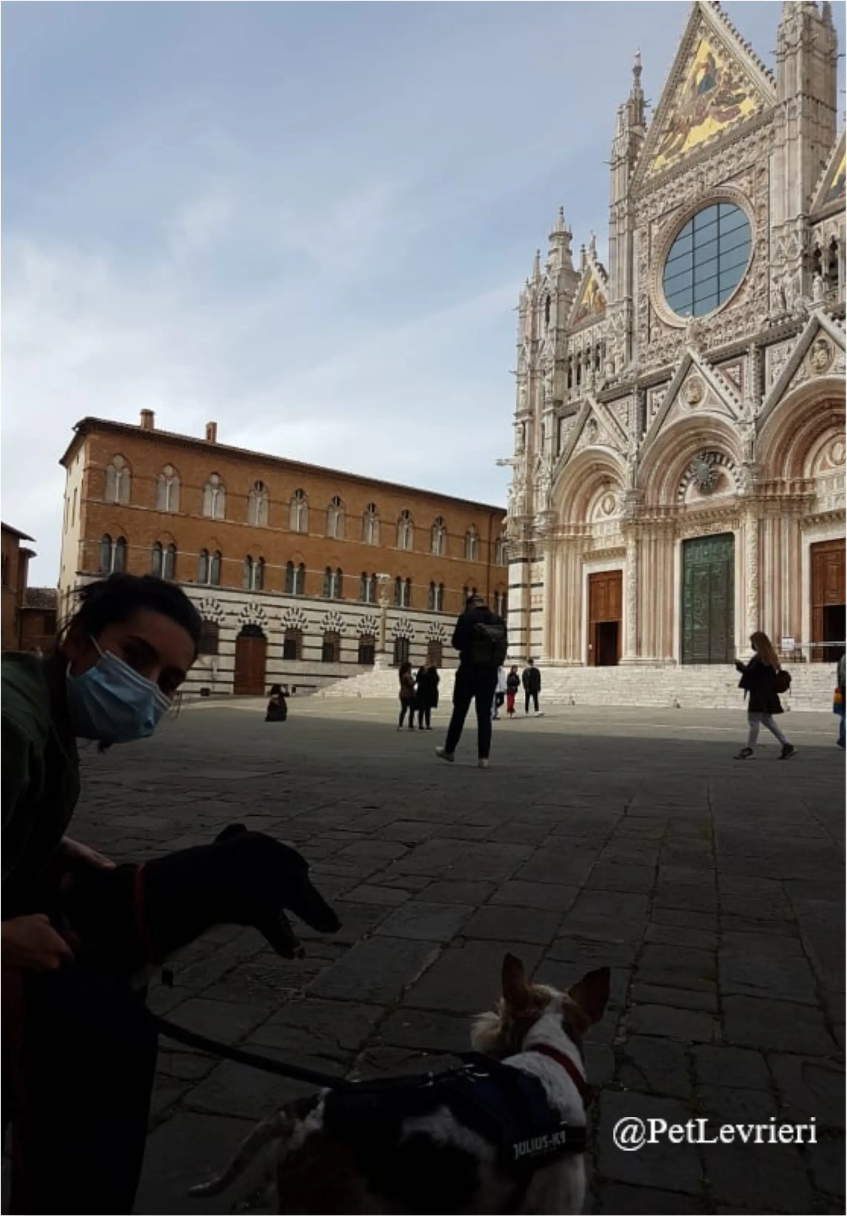 ANNA2New Phototastic Collage